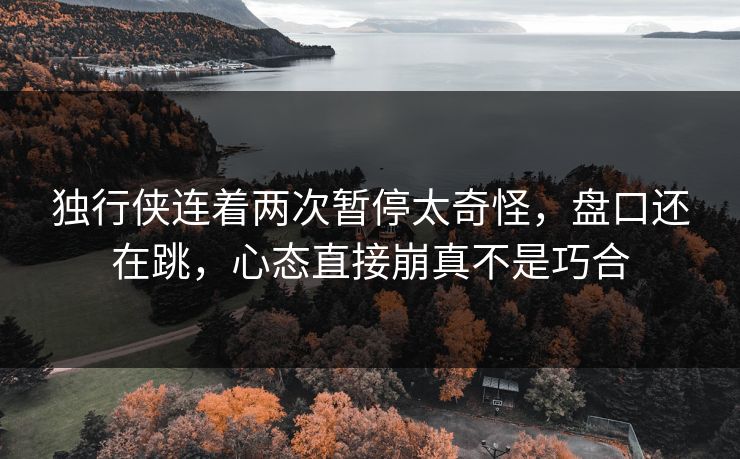 独行侠连着两次暂停太奇怪，盘口还在跳，心态直接崩真不是巧合