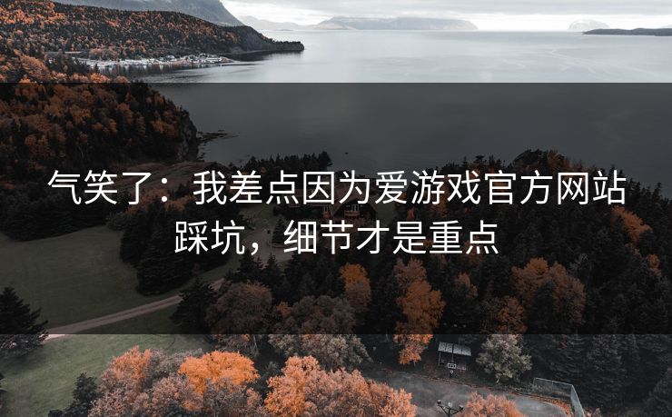 气笑了：我差点因为爱游戏官方网站踩坑，细节才是重点